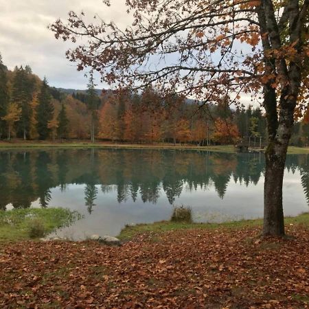 莫里永Chalet Alliance Entre Calme Et Plaisir别墅 外观 照片