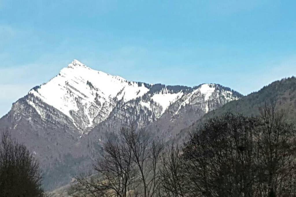 莫里永Chalet Alliance Entre Calme Et Plaisir别墅 外观 照片