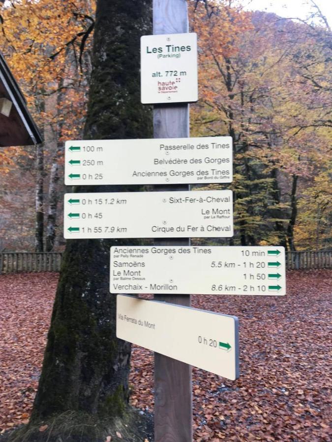 莫里永Chalet Alliance Entre Calme Et Plaisir别墅 外观 照片