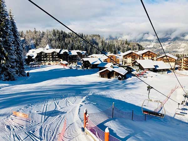 莫里永Chalet Alliance Entre Calme Et Plaisir别墅 外观 照片