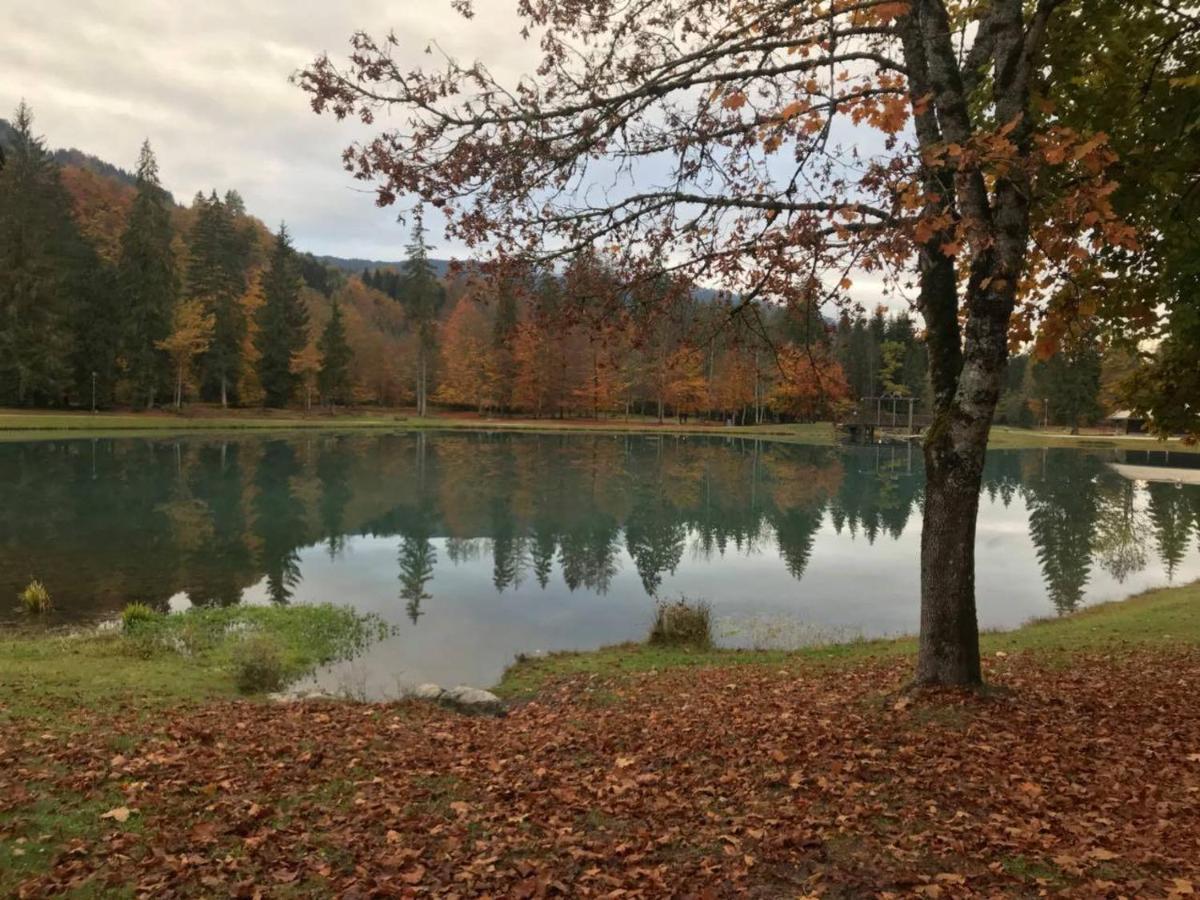 莫里永Chalet Alliance Entre Calme Et Plaisir别墅 外观 照片